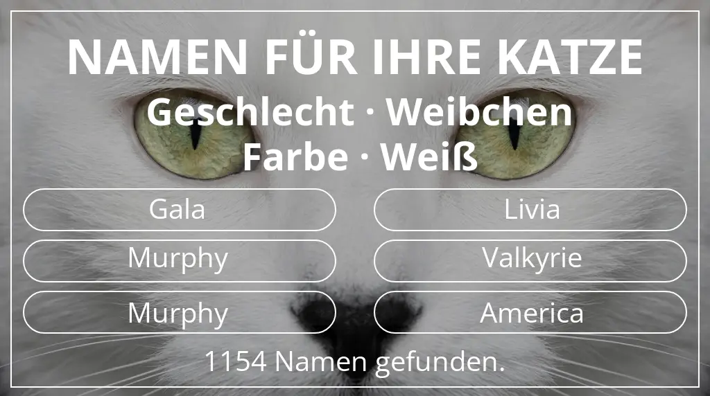 Katzennamen passend zu geschlecht weibchen und farbe weiß