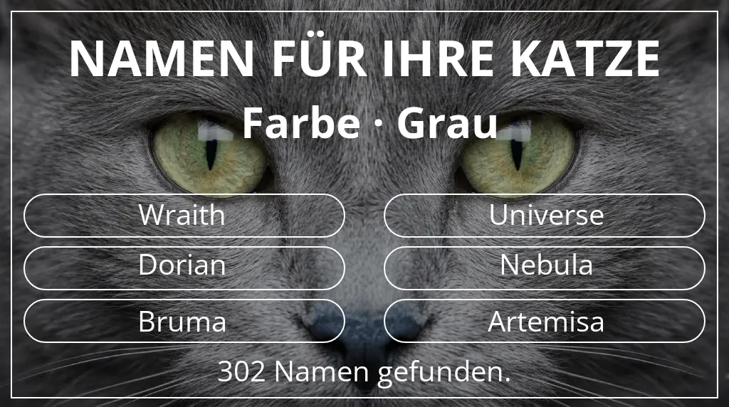 Namen für Katzen passend zu farbe grau