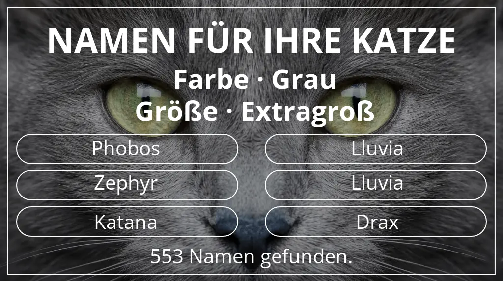 Namen für Katzen passend zu farbe grau und größe extragroß