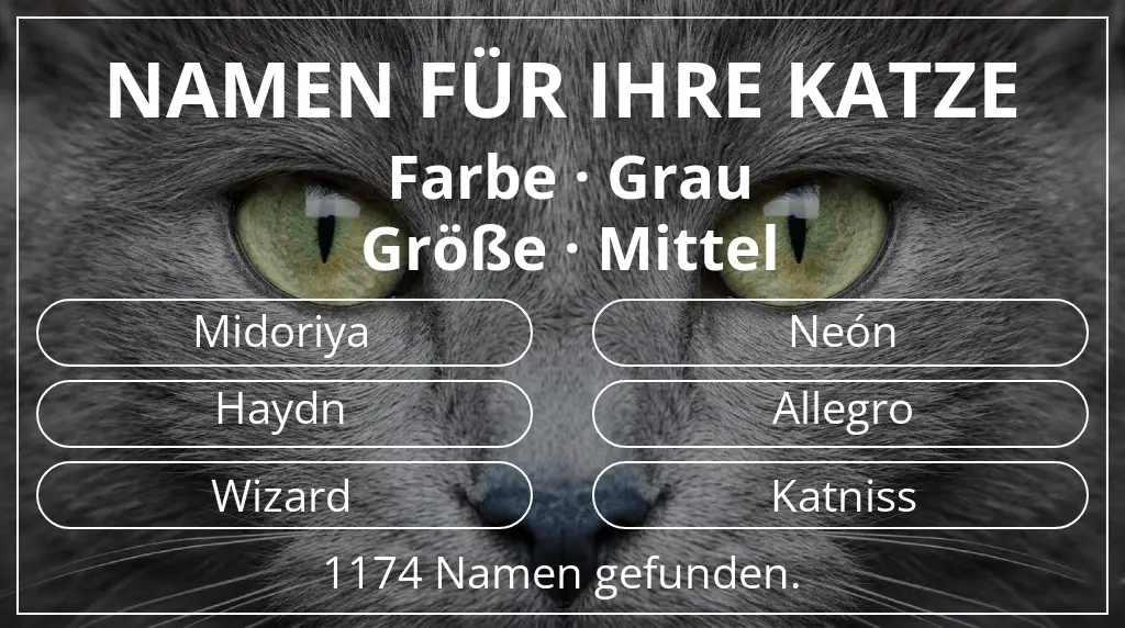 Namen für Katzen passend zu farbe grau und größe mittel
