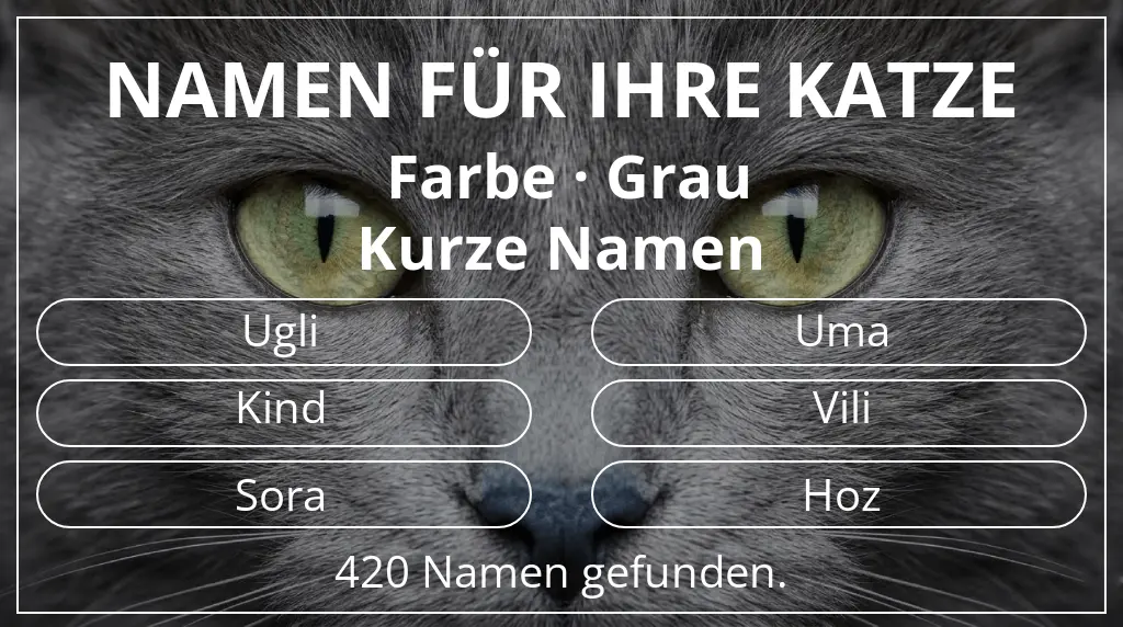 Namen für Katzen passend zu farbe grau und namenslänge kurz (2–4)
