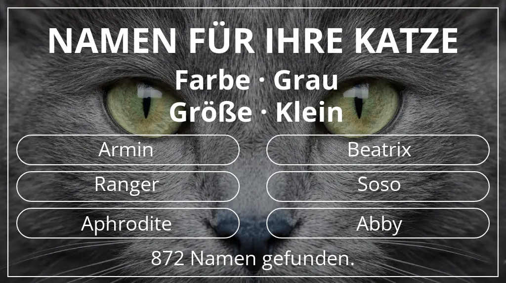 Katzennamen passend zu farbe grau und größe klein