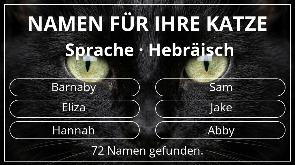 Namen für Katzen basierend auf sprache hebräisch