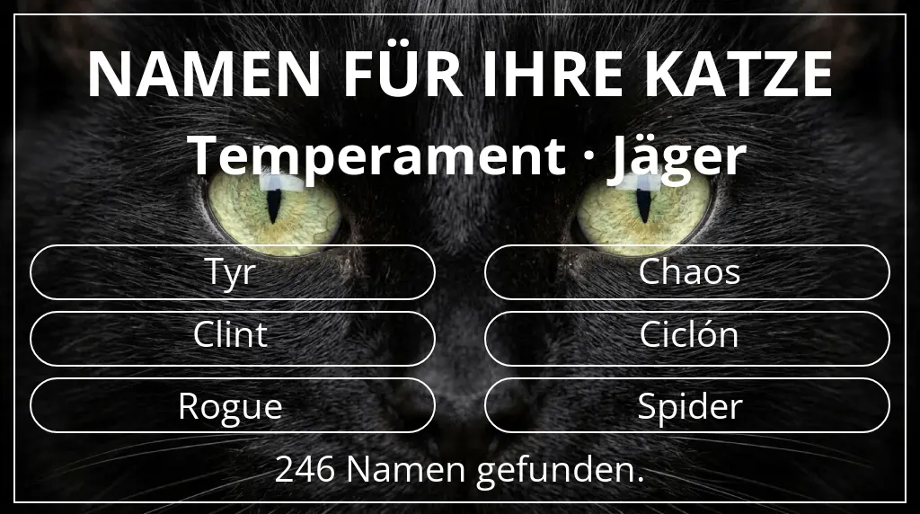 Katzennamen inspiriert von temperament jäger