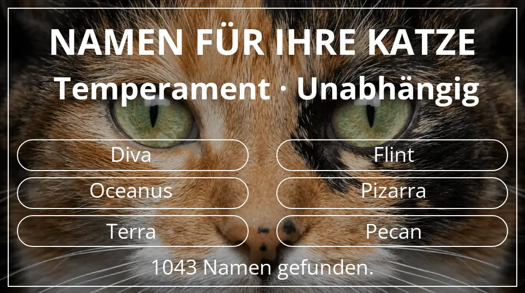 Katzennamen basierend auf temperament unabhängig