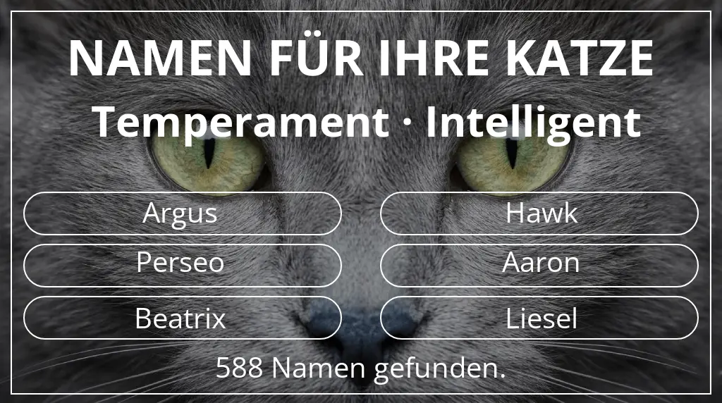 Namen für Katzen basierend auf temperament intelligent