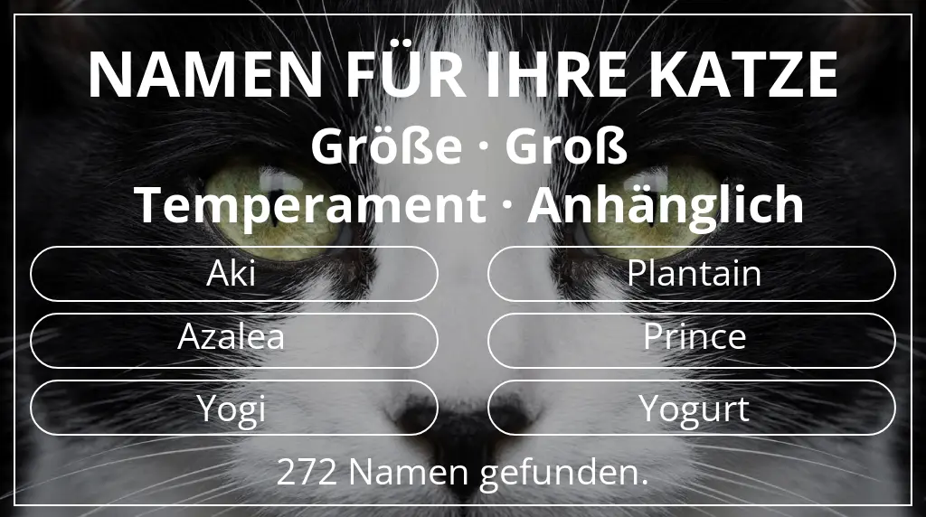 Katzennamen basierend auf größe groß und temperament anhänglich