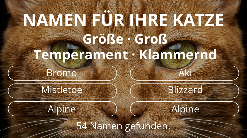 Katzennamen basierend auf größe groß und temperament klammernd