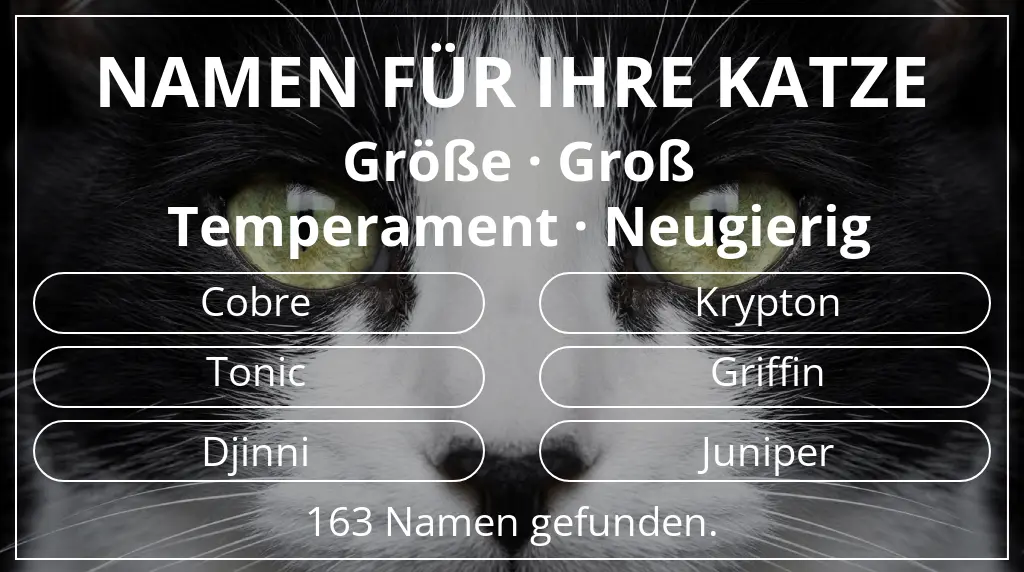 Namen für Katzen passend zu größe groß und temperament neugierig
