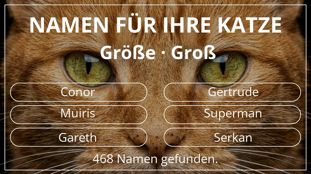 Katzennamen passend zu größe groß