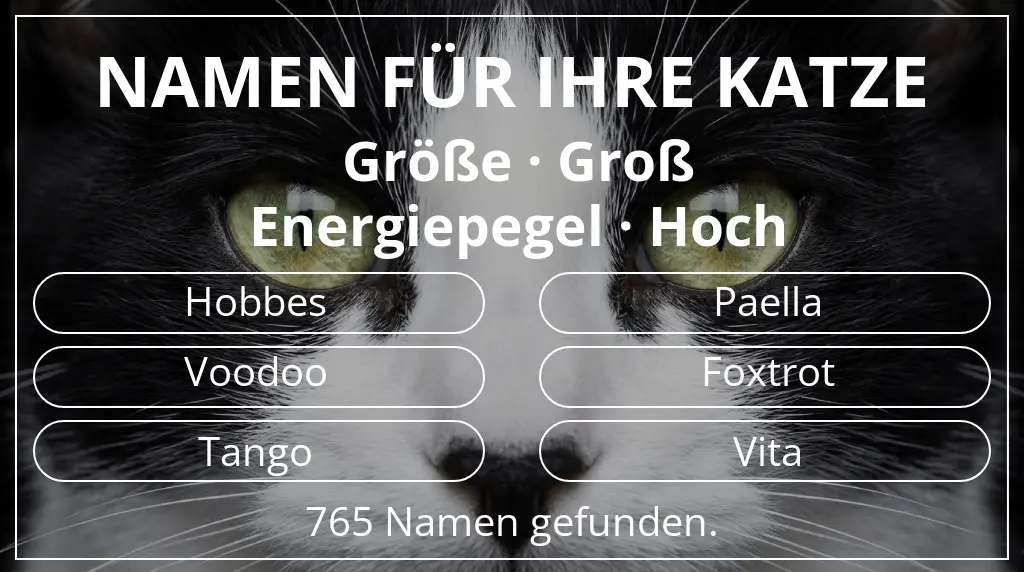 Katzennamen basierend auf größe groß und energiepegel hoch