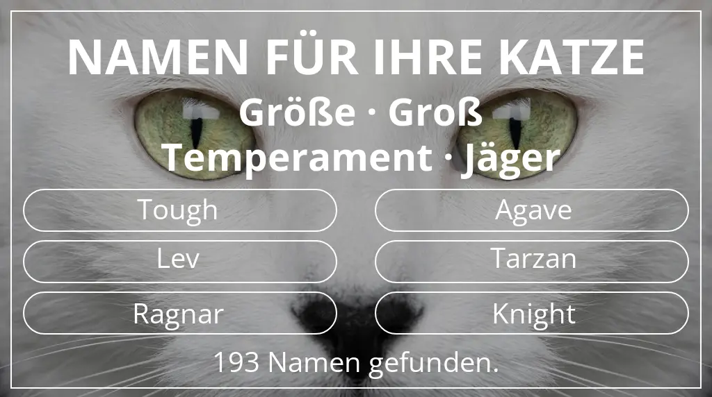 Katzennamen basierend auf größe groß und temperament jäger