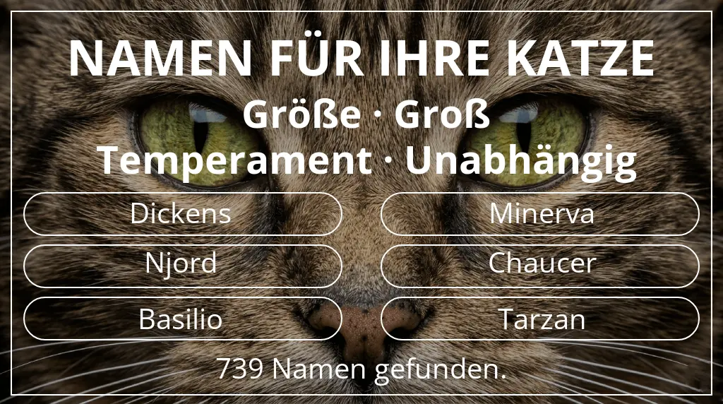Namen für Katzen inspiriert von größe groß und temperament unabhängig