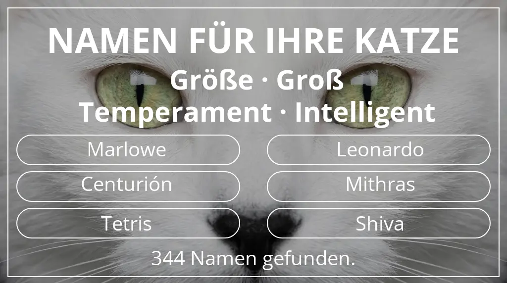 Namen für Katzen inspiriert von größe groß und temperament intelligent