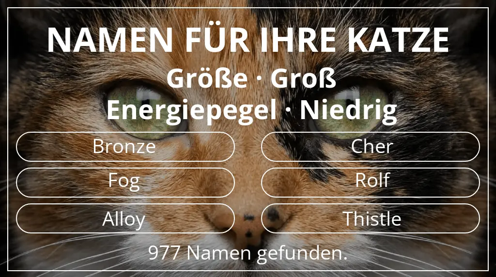Namen für Katzen passend zu größe groß und energiepegel niedrig