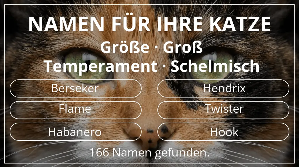 Katzennamen inspiriert von größe groß und temperament schelmisch
