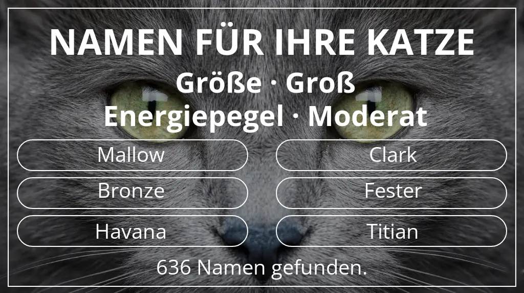 Katzennamen basierend auf größe groß und energiepegel moderat