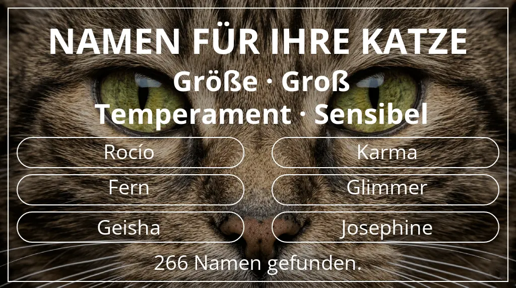 Namen für Katzen passend zu größe groß und temperament sensibel