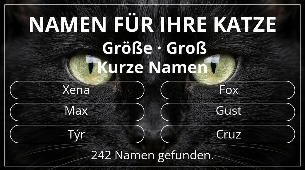 Namen für Katzen passend zu größe groß und namenslänge kurz (2–4)