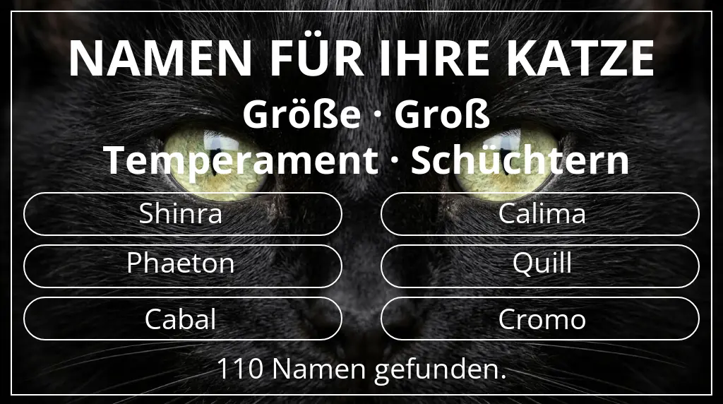 Namen für Katzen inspiriert von größe groß und temperament schüchtern