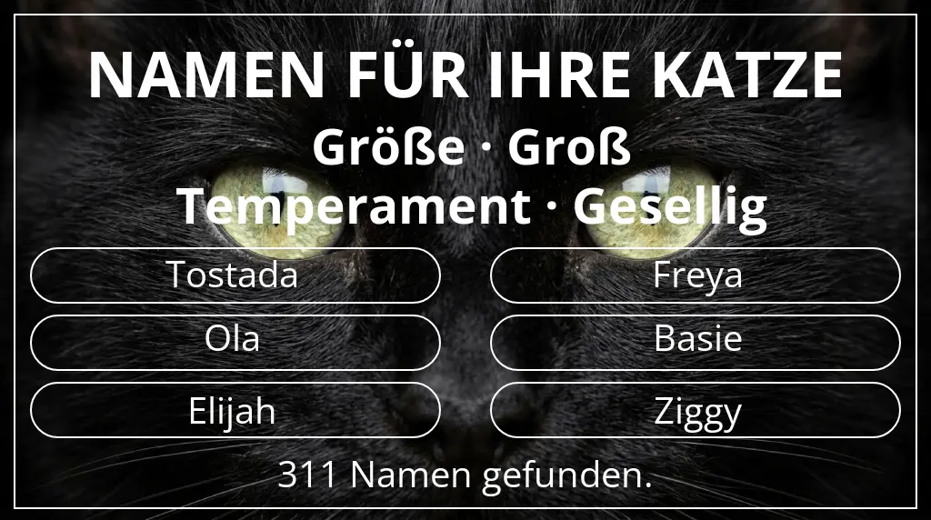 Namen für Katzen basierend auf größe groß und temperament gesellig
