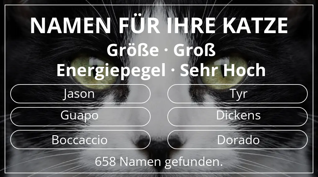 Katzennamen inspiriert von größe groß und energiepegel sehr hoch