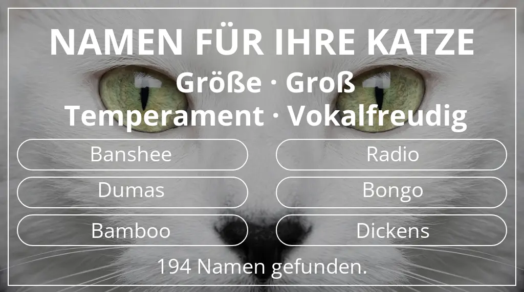 Namen für Katzen basierend auf größe groß und temperament vokalfreudig
