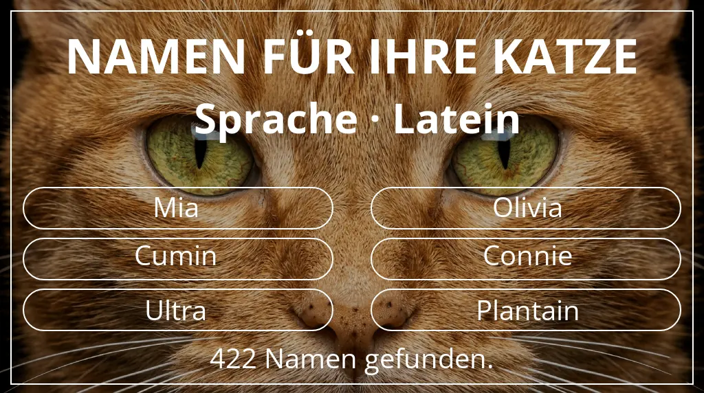 Katzennamen passend zu sprache latein