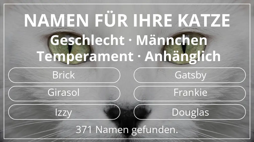 Katzennamen basierend auf geschlecht männchen und temperament anhänglich