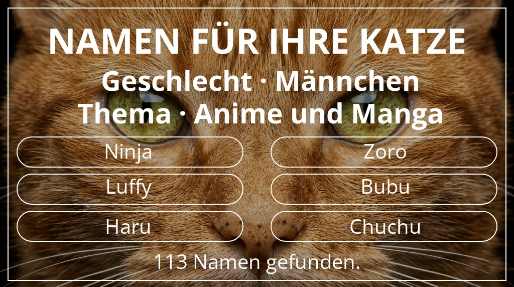 Katzennamen passend zu geschlecht männchen und thema anime und manga