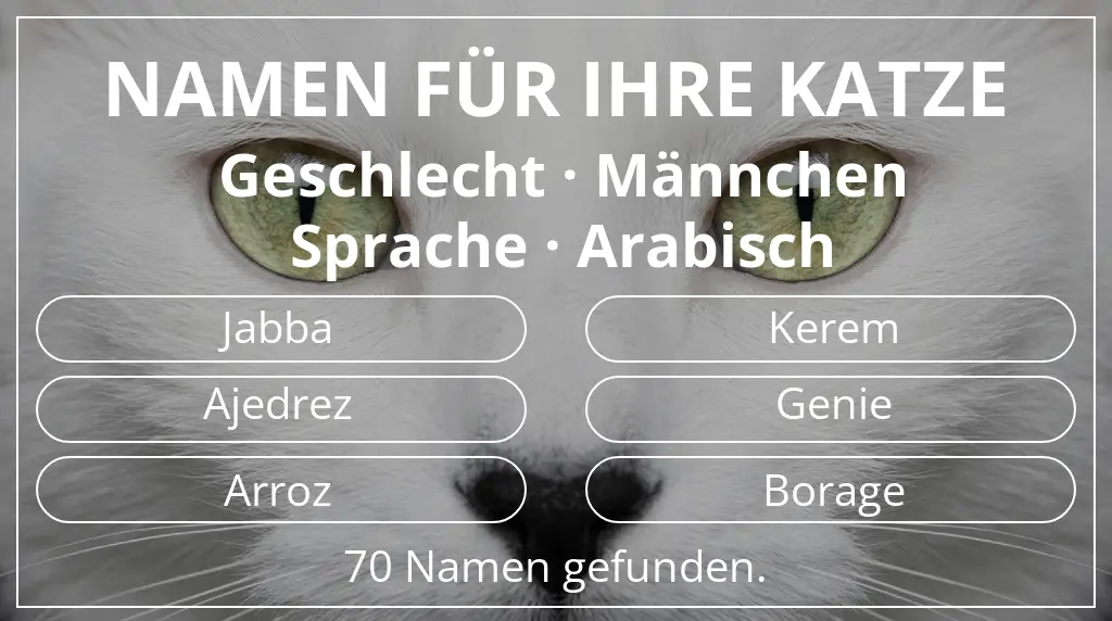 Katzennamen basierend auf geschlecht männchen und sprache arabisch