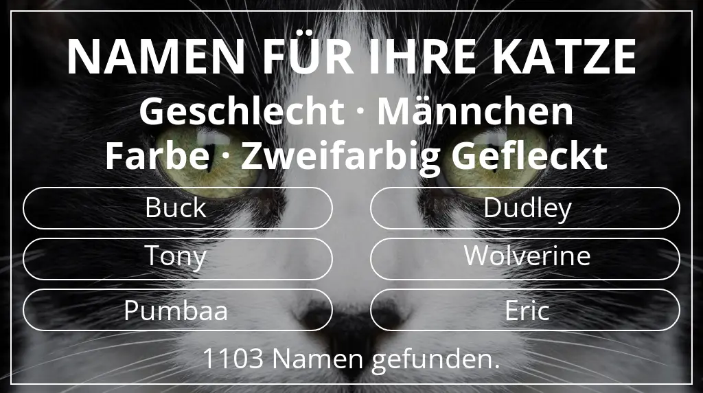 Namen für Katzen basierend auf geschlecht männchen und farbe zweifarbig gefleckt