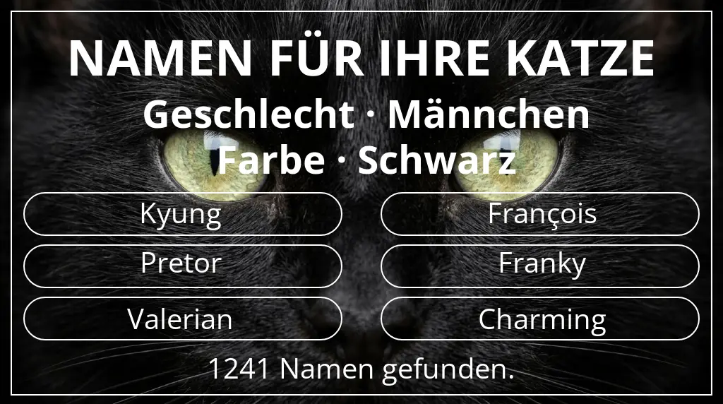 Katzennamen passend zu geschlecht männchen und farbe schwarz