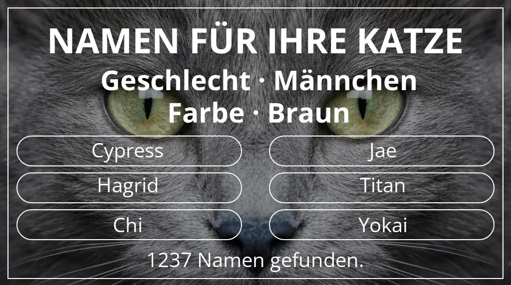 Katzennamen inspiriert von geschlecht männchen und farbe braun