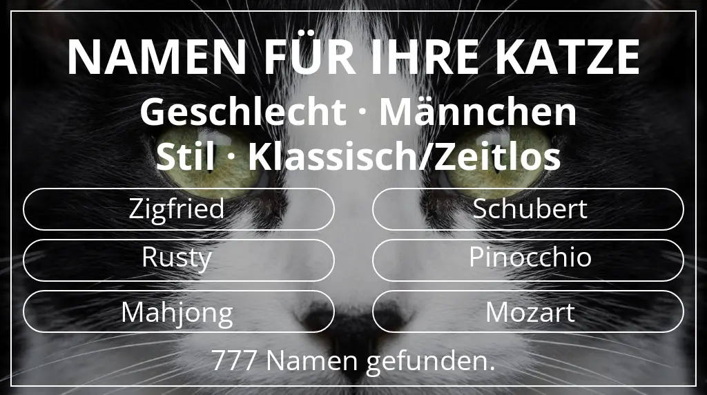 Katzennamen basierend auf geschlecht männchen und stil klassisch/zeitlos