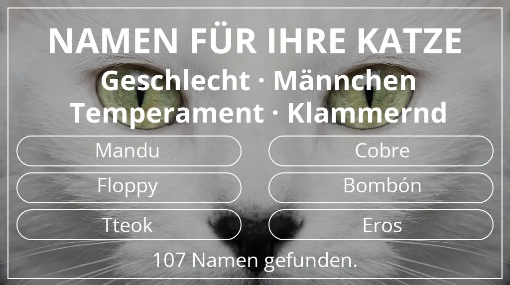 Katzennamen basierend auf geschlecht männchen und temperament klammernd