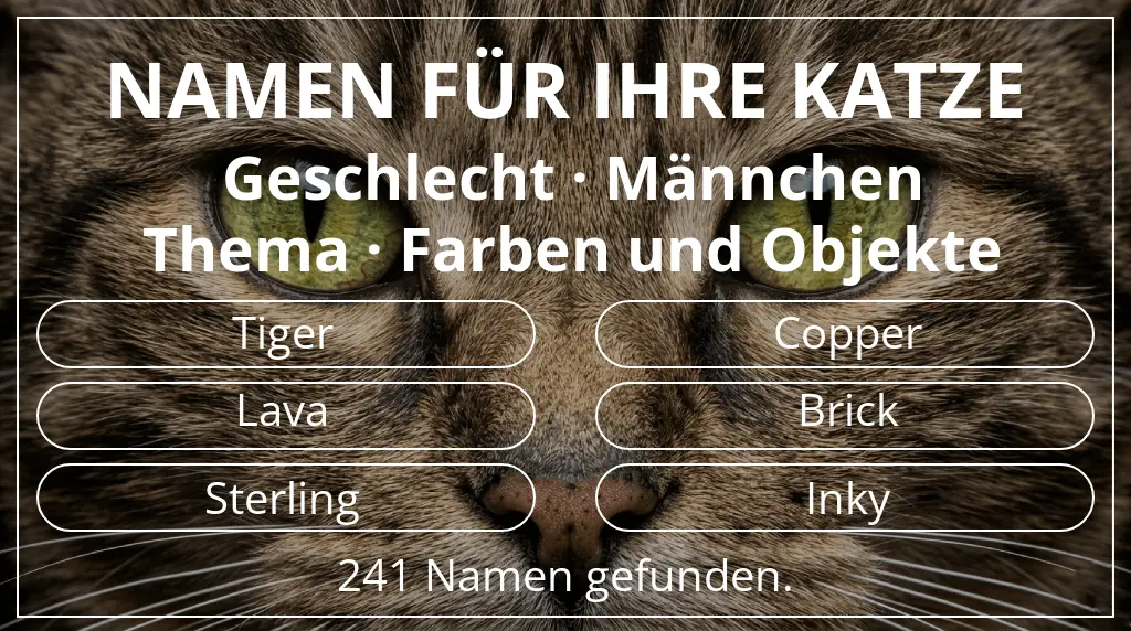 Namen für Katzen passend zu geschlecht männchen und thema farben und objekte