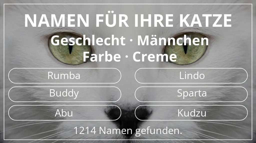 Katzennamen inspiriert von geschlecht männchen und farbe creme