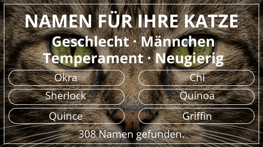 Namen für Katzen inspiriert von geschlecht männchen und temperament neugierig