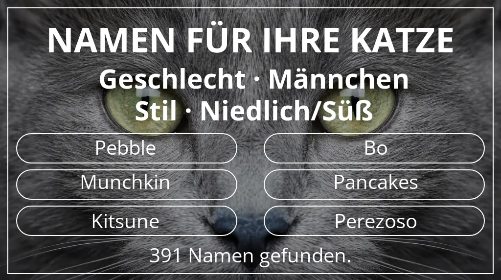 Namen für Katzen inspiriert von geschlecht männchen und stil niedlich/süß
