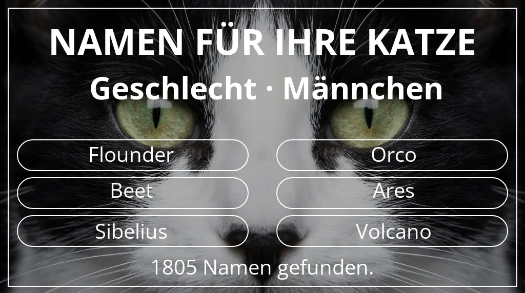 Katzennamen basierend auf geschlecht männchen
