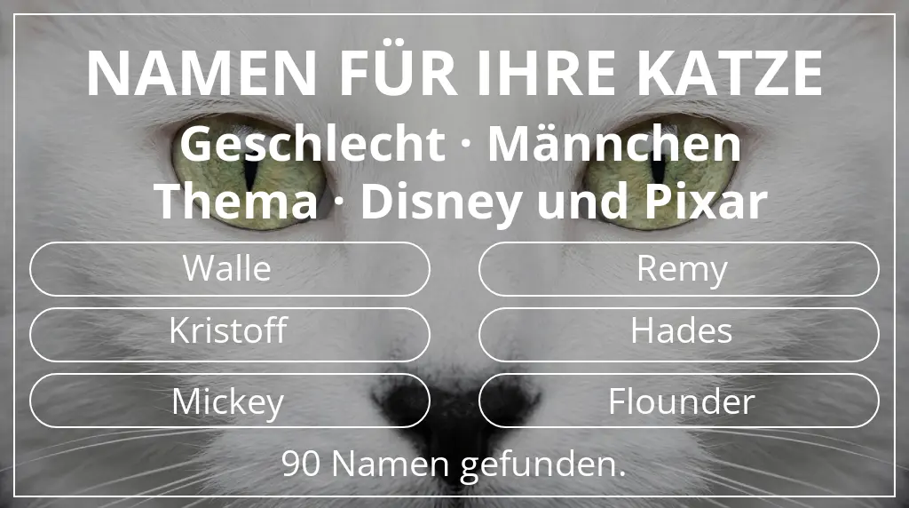 Katzennamen passend zu geschlecht männchen und thema disney und pixar