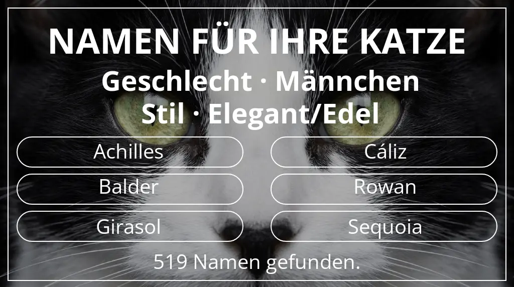 Katzennamen inspiriert von geschlecht männchen und stil elegant/edel