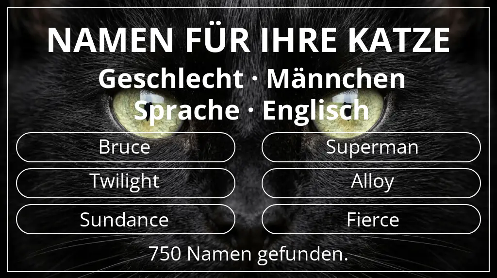 Namen für Katzen basierend auf geschlecht männchen und sprache englisch