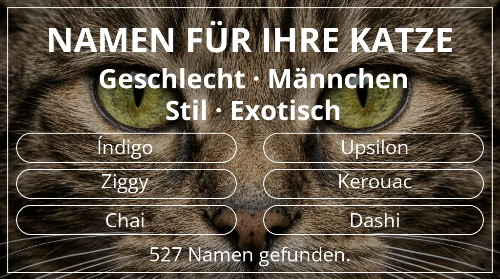 Namen für Katzen inspiriert von geschlecht männchen und stil exotisch