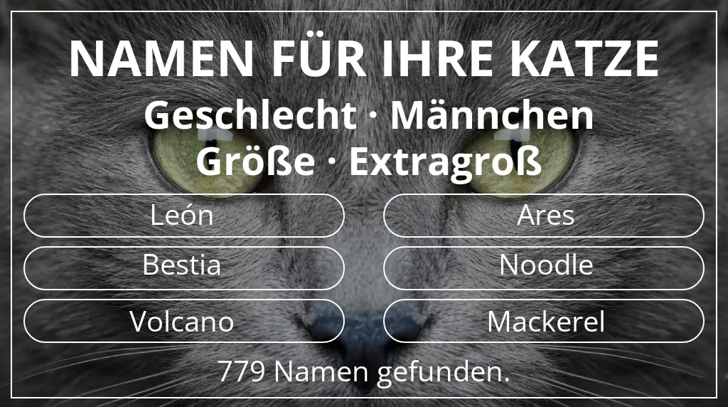 Katzennamen passend zu geschlecht männchen und größe extragroß