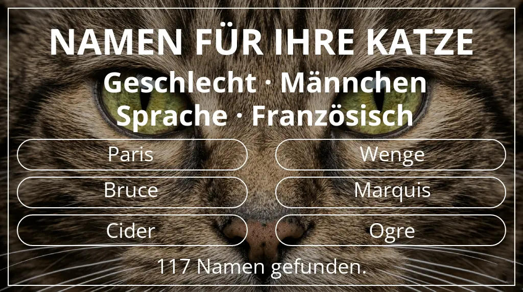 Namen für Katzen basierend auf geschlecht männchen und sprache französisch
