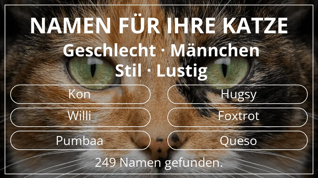 Katzennamen inspiriert von geschlecht männchen und stil lustig
