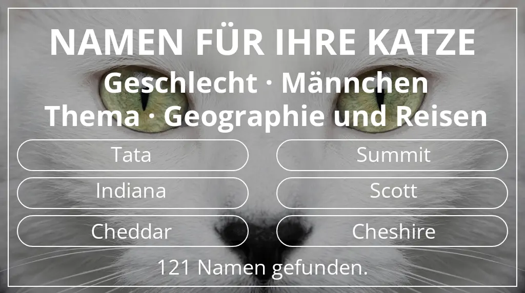 Namen für Katzen passend zu geschlecht männchen und thema geographie und reisen
