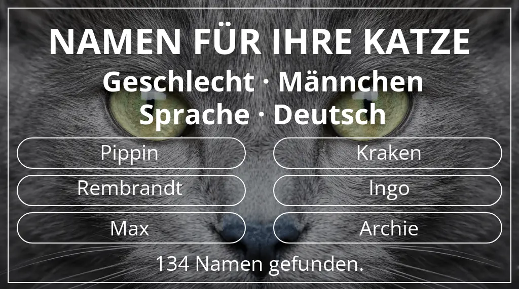 Namen für Katzen passend zu geschlecht männchen und sprache deutsch